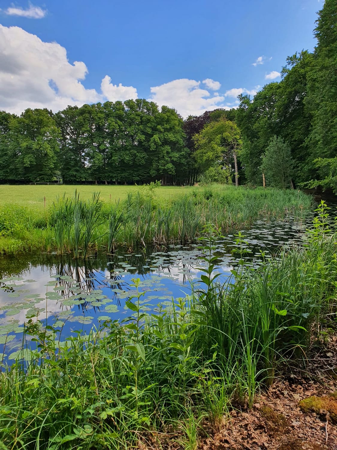 wandelen met je Maker