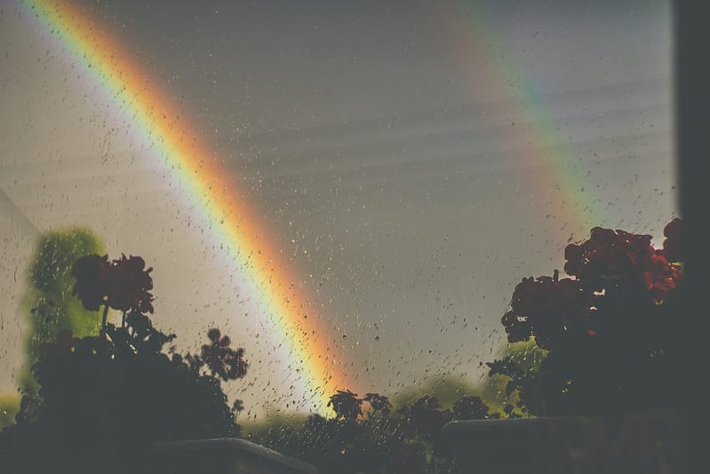regenboog teken van trouw