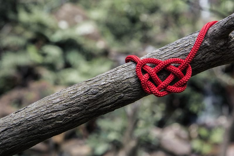 liefdevol worden gesnoeid