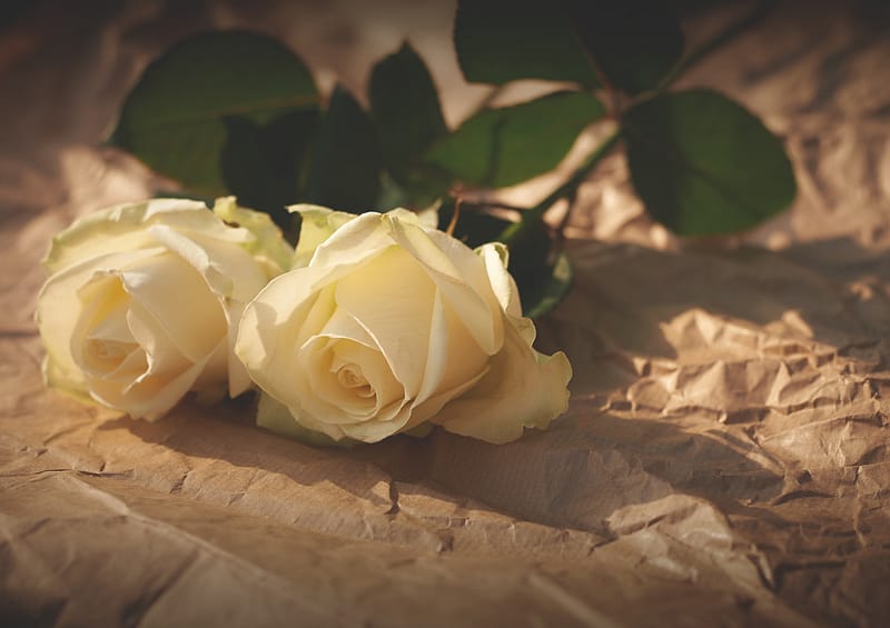 Gods liefdesbrief voor jou