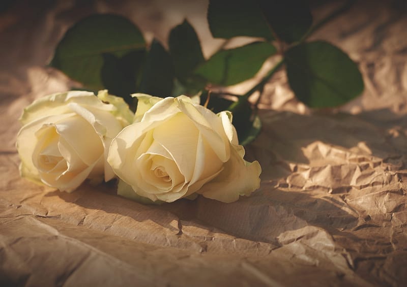 Gods liefdesbrief voor jou